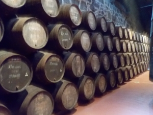 So many barrels of port! The Largest barrel Calem caves has can hold over 55,000L of port!